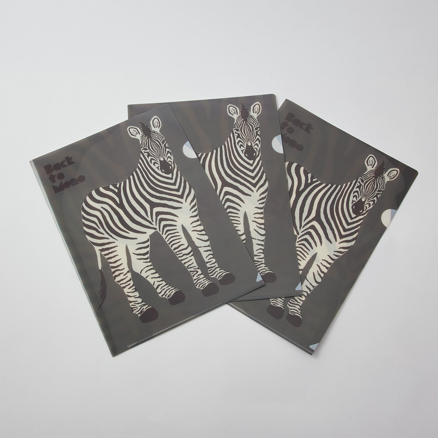 A4クリアファイル 10枚セット